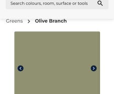 Fleetwood Paint Olive Branch