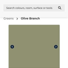 Fleetwood Paint Olive Branch
