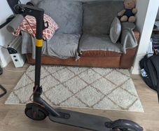 Xiaomi electric scooter