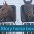 Storyhorsebox428