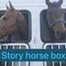 Storyhorsebox428