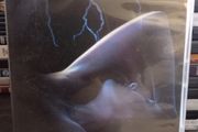 Theentity(1982) Dvd Barbara Hershey Demonic Horror Movie