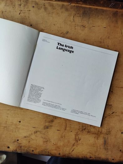 The Irish Language by Mairtin O Murchu