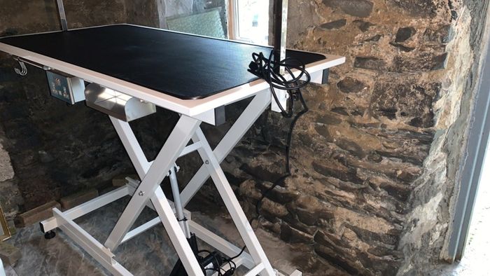 New electric lift Dog grooming table