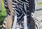 Maxi Cosi Priori car seat