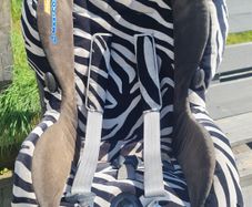 Maxi Cosi Priori car seat