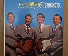 Buddy Holly and the Crickets vinyl
