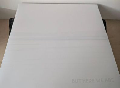 Foo Fighters - But Here We Are - Colour Vinyl