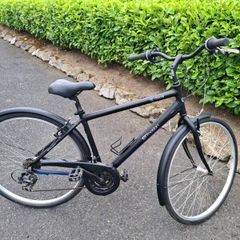 Ladies bike