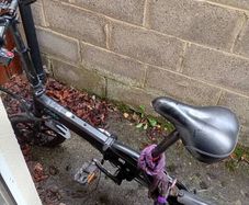 Fido bike D1