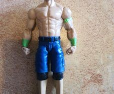 Wrestler