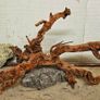 Terrarium Wood Image 8