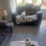 sofas Image 5