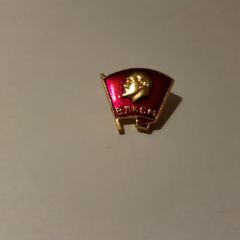 Young Communist League Badge
