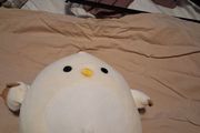 chicken squishmallow