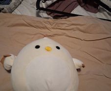 chicken squishmallow