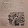 The Lion, The Witch And The Wardrobe by C.S. Lewis Image 4