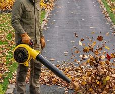 Leaf Blowers 5 Year Warranty