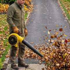 Leaf Blowers 5 Year Warranty