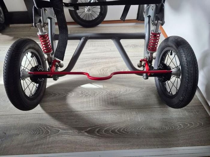 Special tomato buggy(special needs buggy)