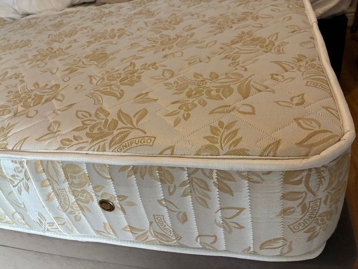 Single Orthopaedic Mattress and Base