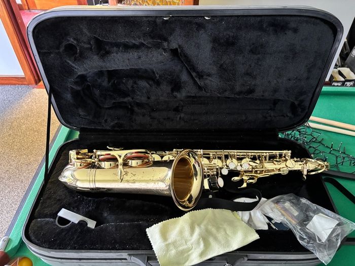 Alto Saxophone 'Stag 77 Sa'
