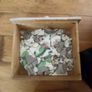 Mosaics or Crafting pieces Image 10