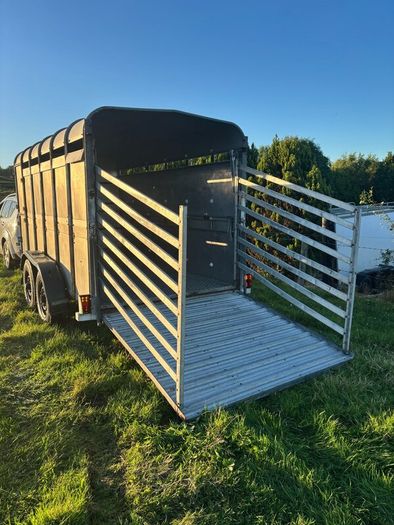12x6 Ifor Williams cattle box
