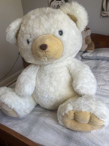teddy bear