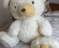 teddy bear