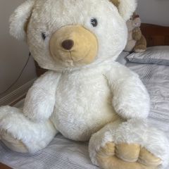 teddy bear