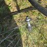Mavic CXP 33 Wheelset Image 4