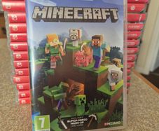 Minecraft Nintendo Switch