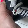 underarmour rubbery Image 4