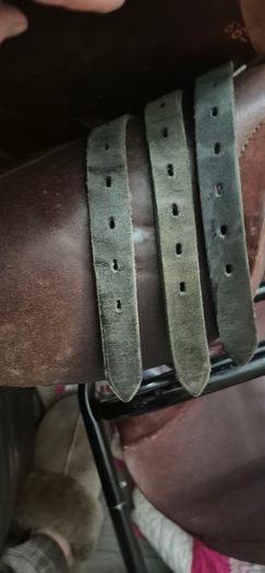 Stubben Saddle