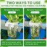 New Upgraded Large Aquarium Plant Holder with Hooks and Suction Cups for Fish Tank Aquaponic Plant Cultivation and Aquascape Accessories Decorations (4 PCS) Transparent Image 7