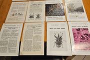 1960s Department Of Agricultural And Fishiries X17 Advisory To Irish Farming People. All In Good Condition.  See Photos For Same.