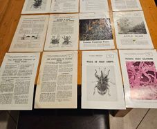 1960s Department Of Agricultural And Fishiries X17 Advisory To Irish Farming People. All In Good Condition.  See Photos For Same.
