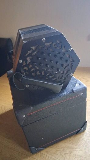Concertina wren