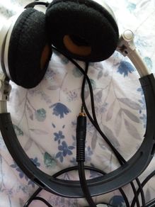 Headphones & Earphones Sony MDR-V300