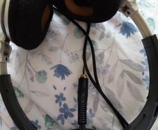 Headphones & Earphones Sony MDR-V300