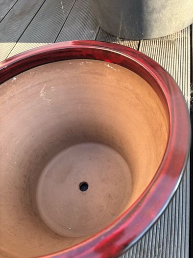 Plant Pot