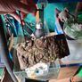 fish tank Image 9