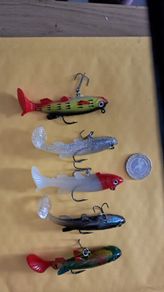 5 Soft Minnows