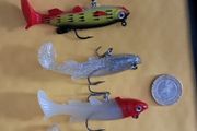 5 Soft Minnows