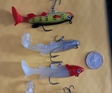 5 Soft Minnows