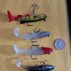5 Soft Minnows
