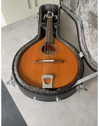 Paul Hathway Handmade  Mandolin