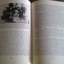 The strange story of Sarah Kelly Ireland Irish history Roscommon Westmeath Image 10