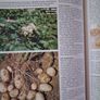 The Grower's Guide / 1989 Image 8